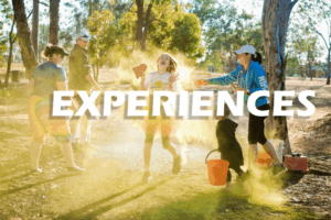 EXPERIENCES