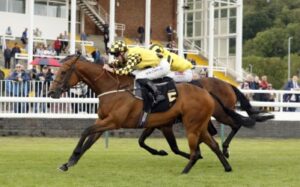 Nottingham Racecourse