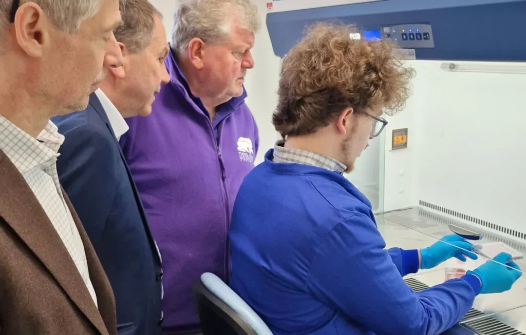 The Three Bears Foundation