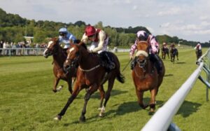 Nottingham Racecourse